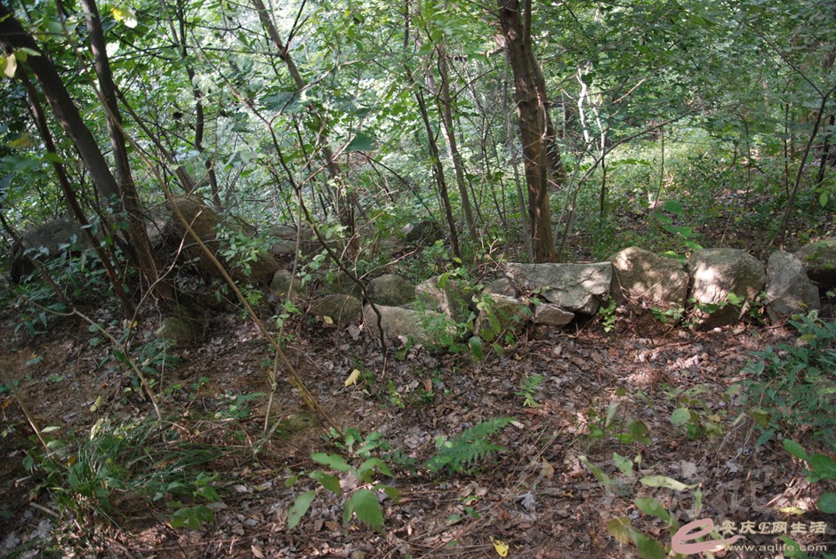DSC_7404.jpg