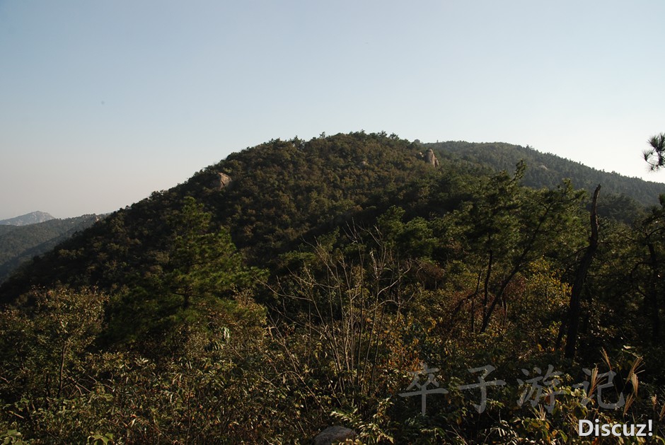 DSC_5935.jpg