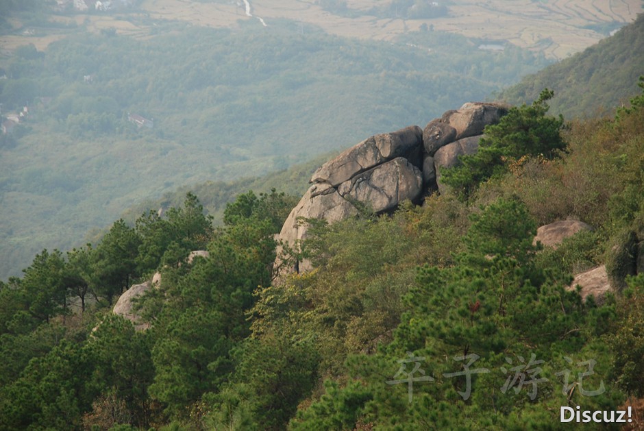 DSC_5991.jpg