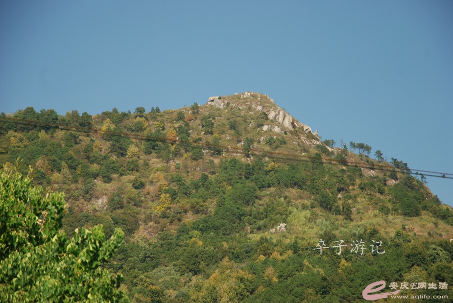 01.jpg