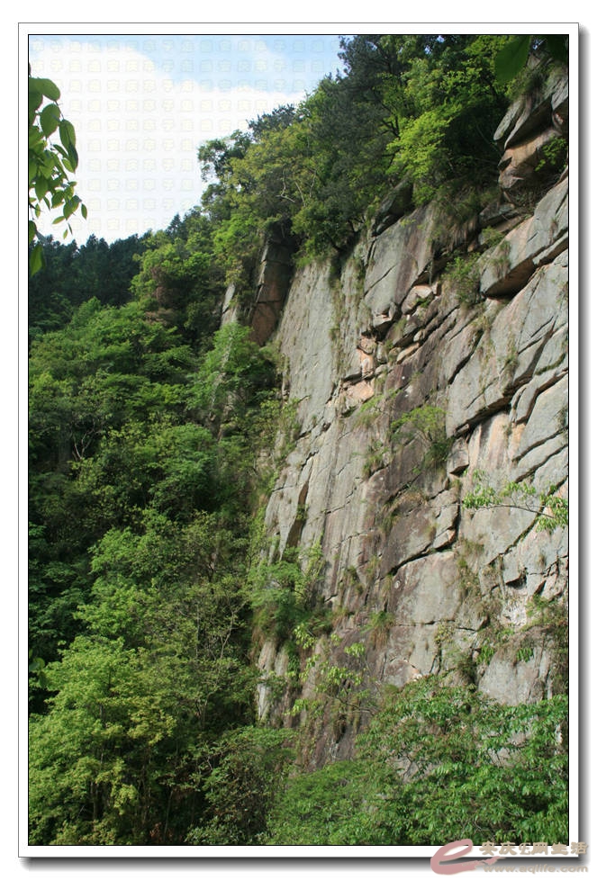 20150501 350.jpg