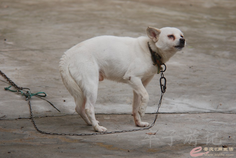 DSC_6429.jpg