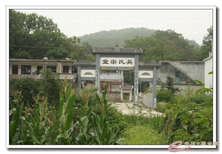 20140628 066.jpg