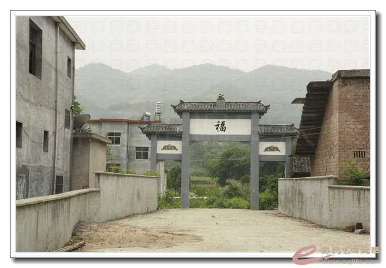 20140628 096.jpg