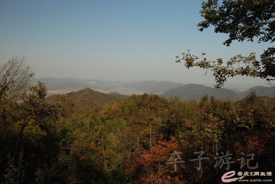 DSC_0141.jpg