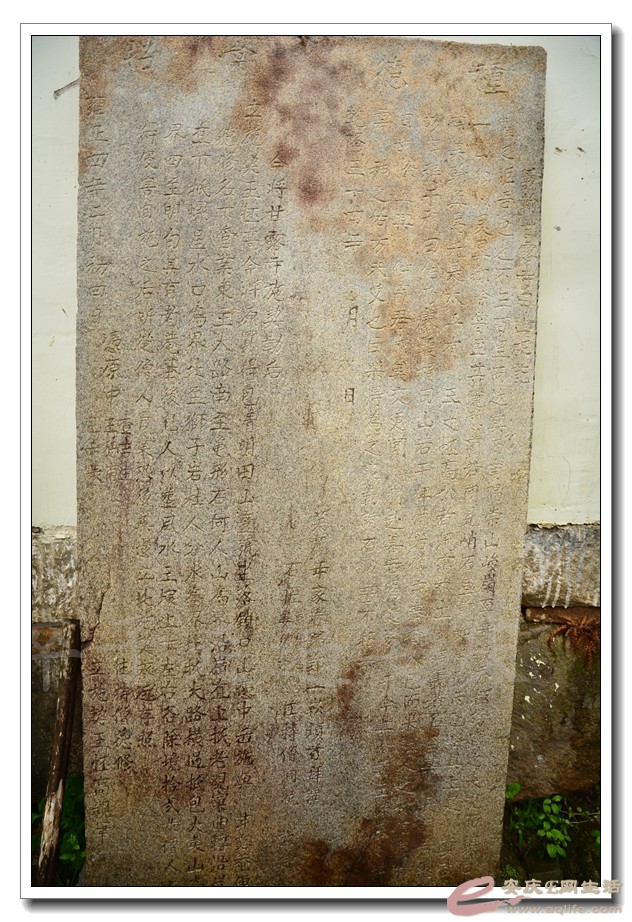 20160402 174.jpg