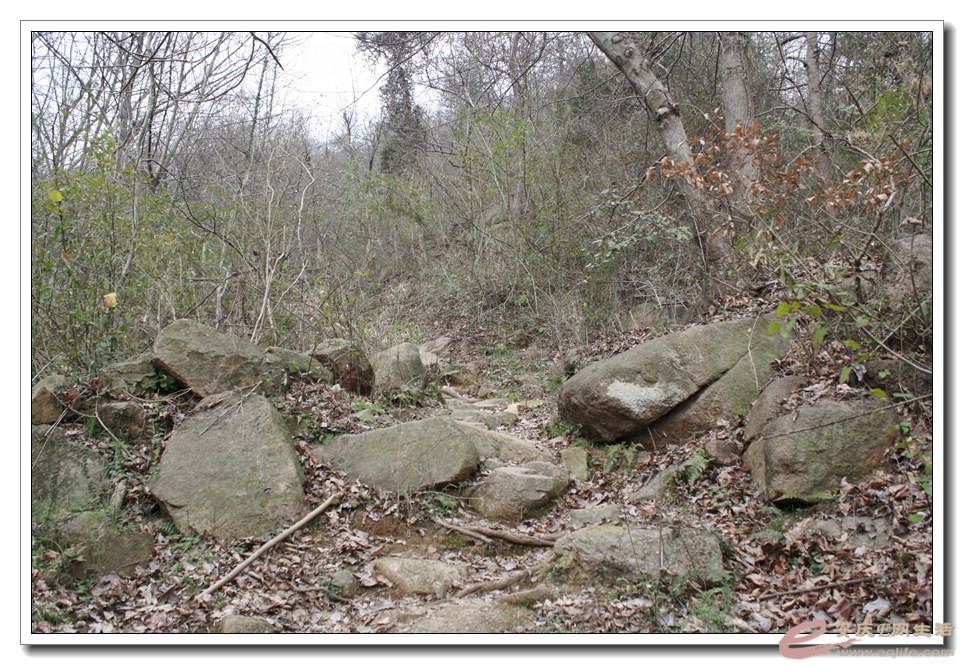 20150218 232.jpg