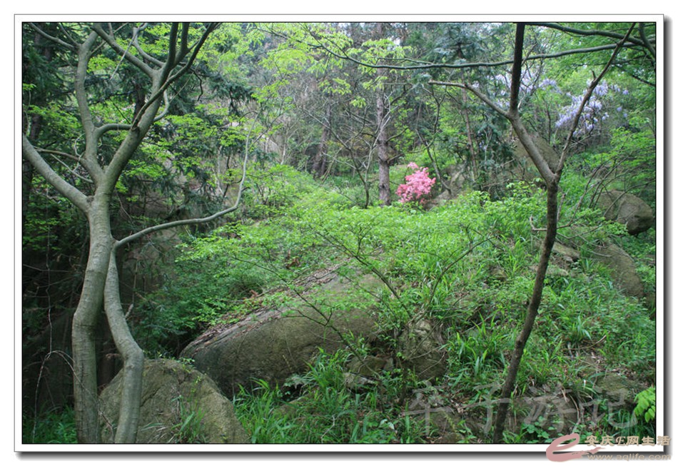 20150419 017.jpg
