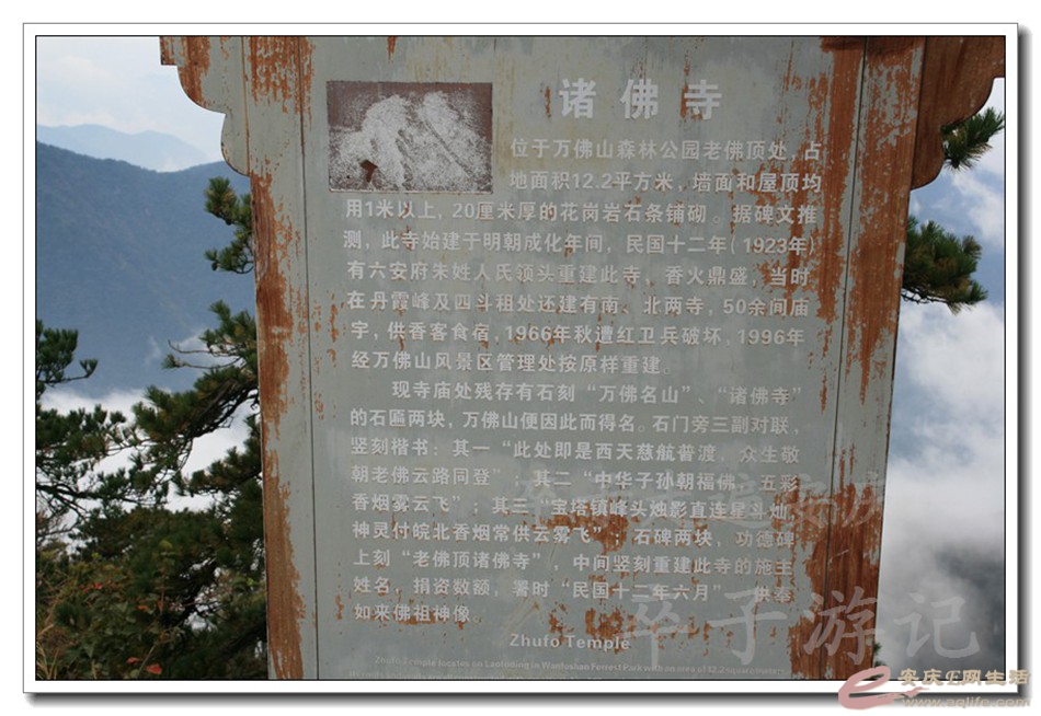 201501001 2435.jpg
