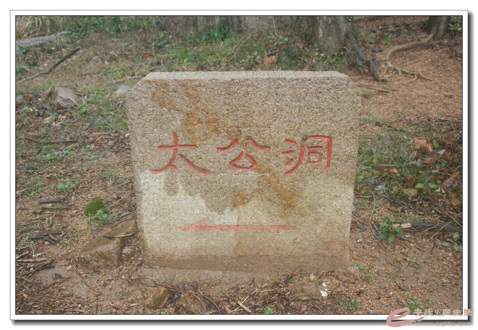 20150314 251.jpg
