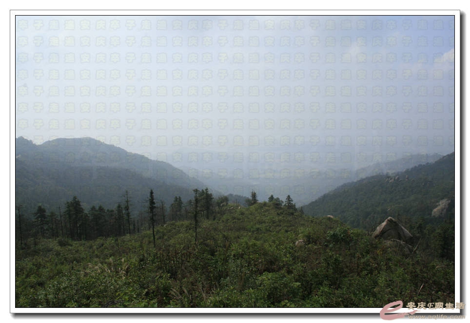 20150815 462.jpg