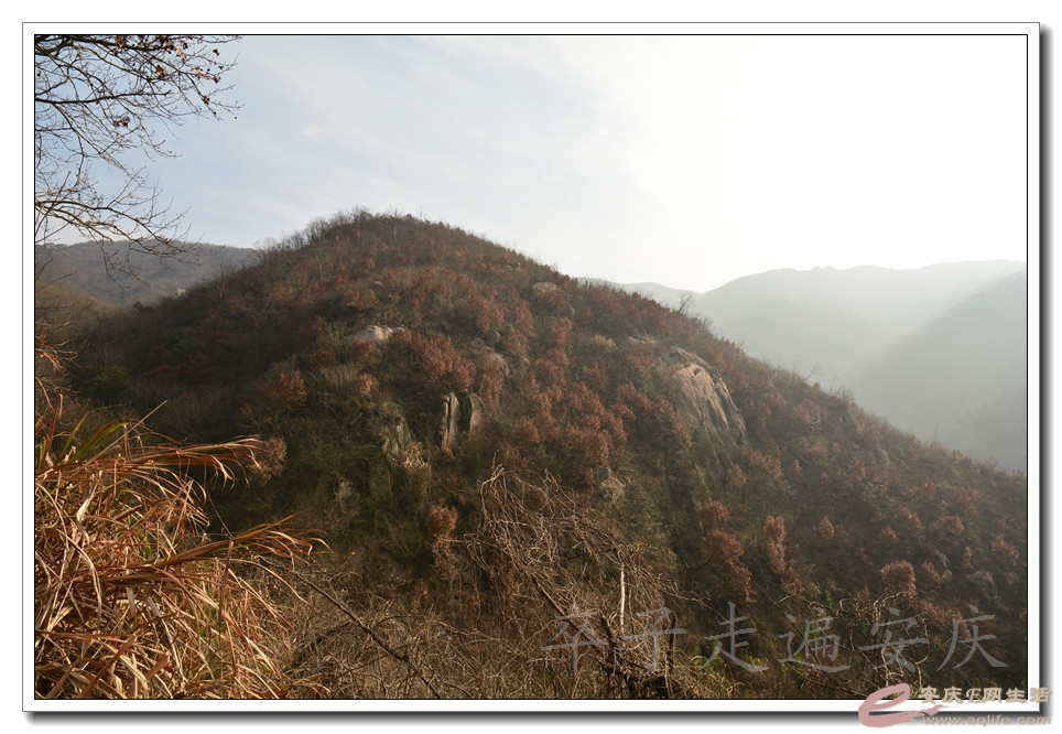 20160116 016.jpg