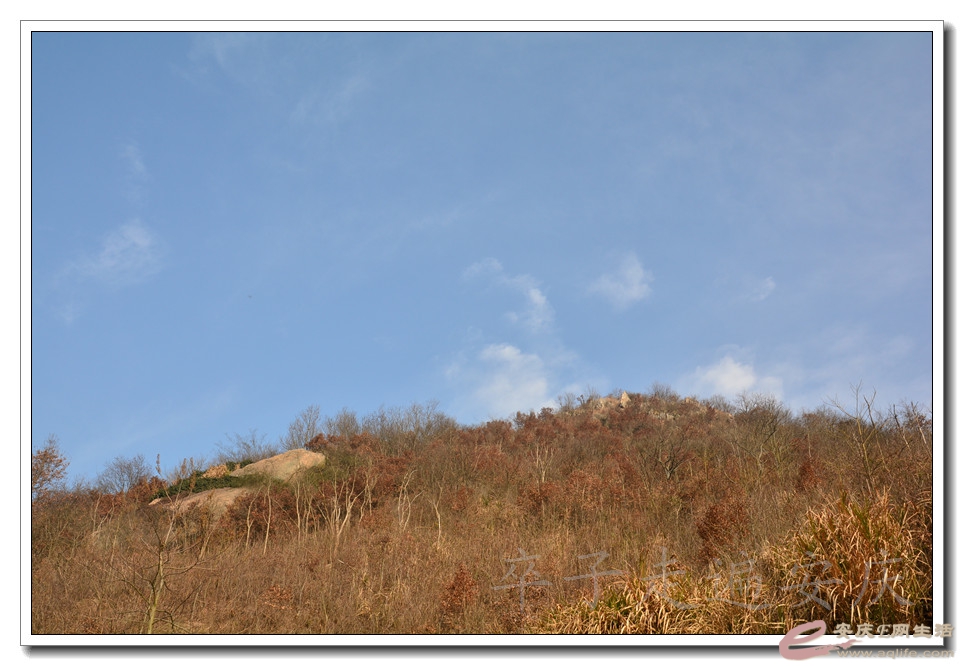 20160116 022.jpg