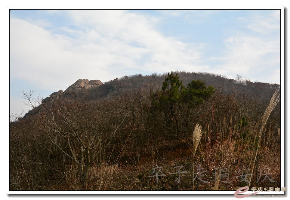 20160116 056.jpg