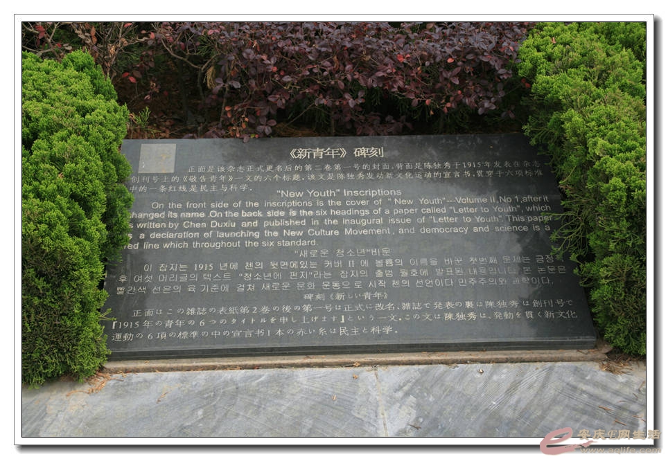 20150510 039.jpg