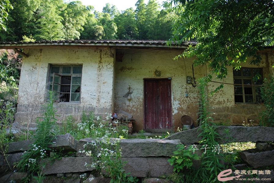 05.jpg