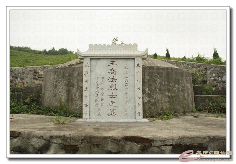20140628 063.jpg