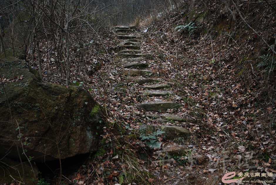 DSC_2456.jpg