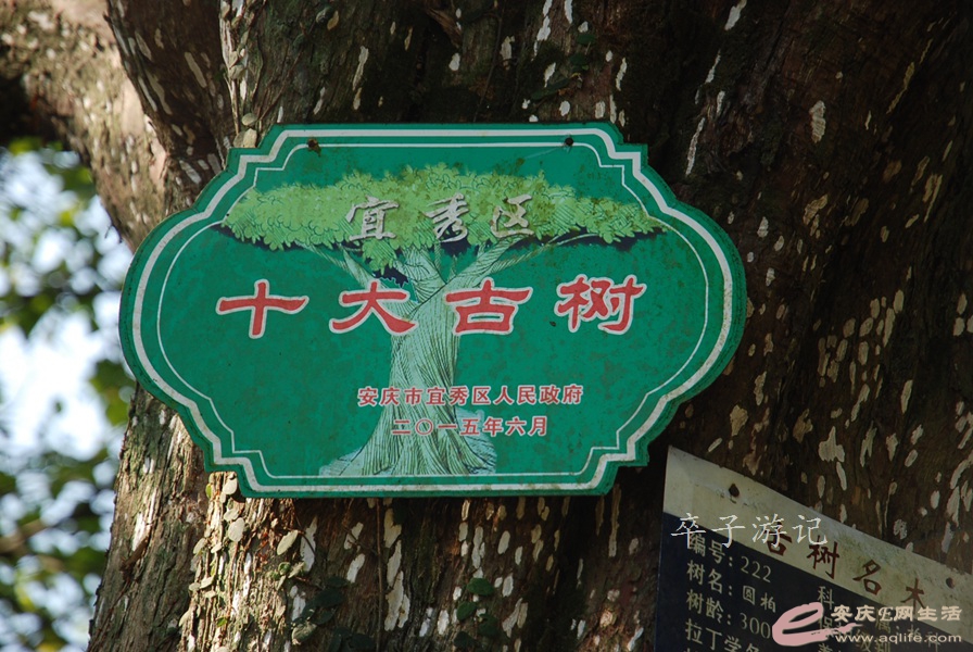 08.jpg