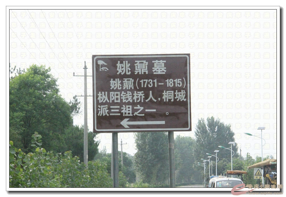20150718 797.jpg