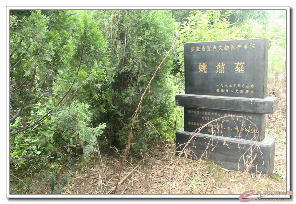 20150718 804.jpg