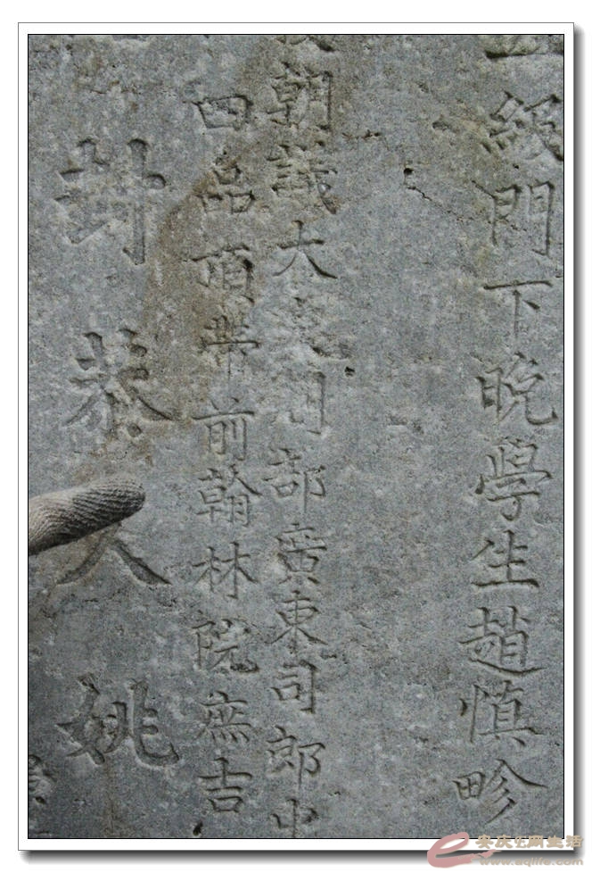 20150718 823.jpg
