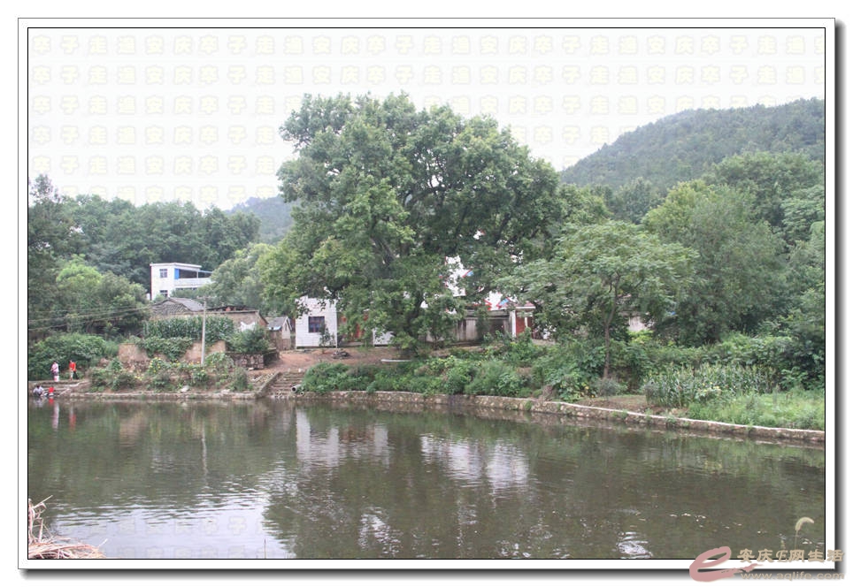 20150718 030.jpg