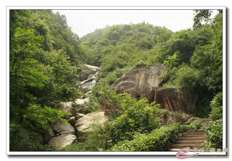 20140622 074.jpg