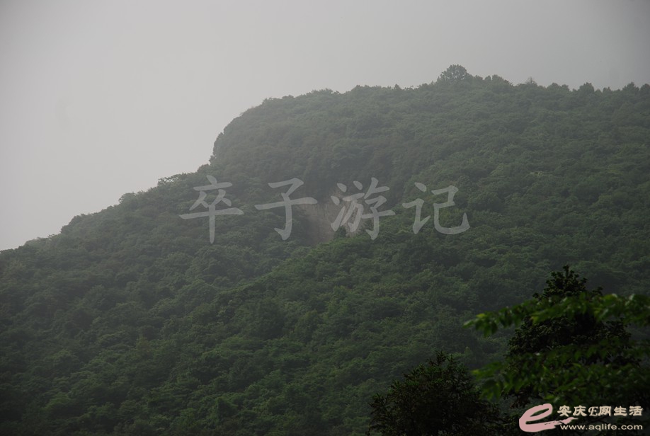 DSC_5958.jpg