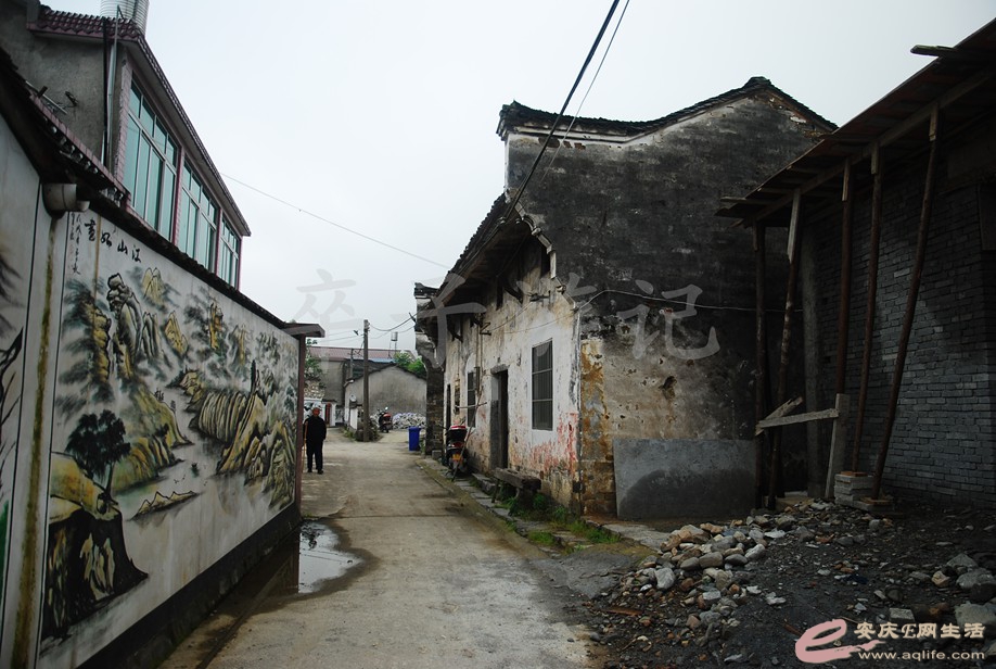 DSC_6022.jpg