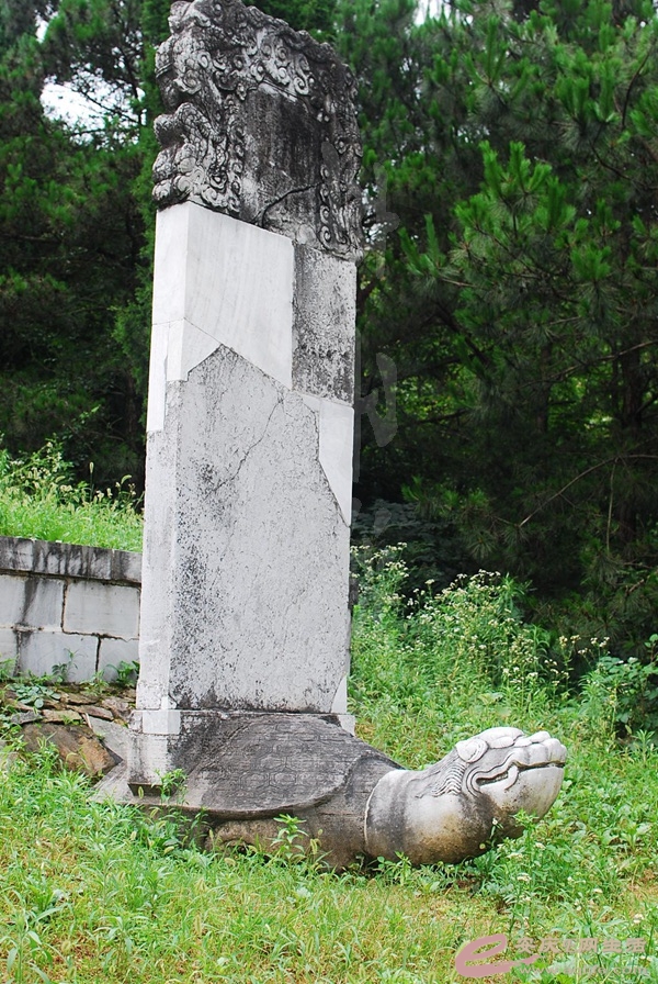 124.jpg