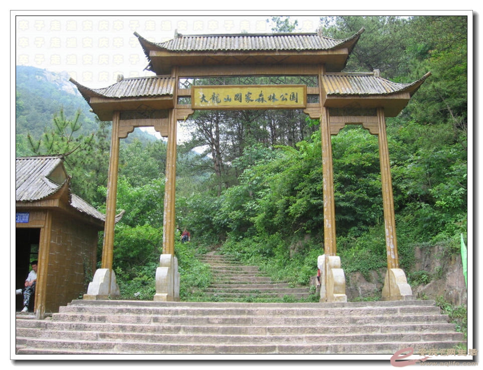 20070501 001.jpg