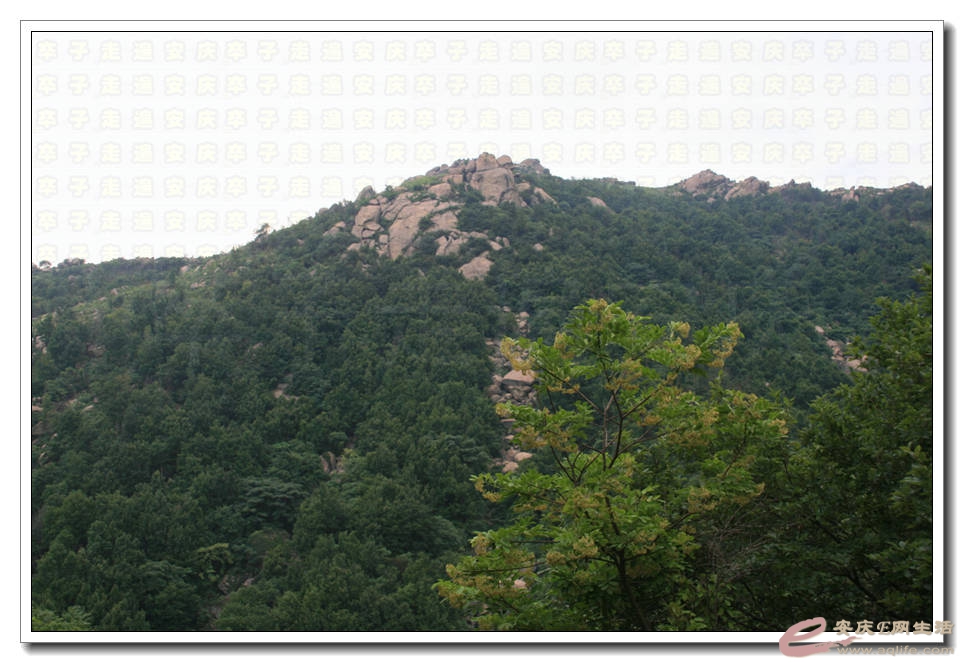20070501 005.jpg
