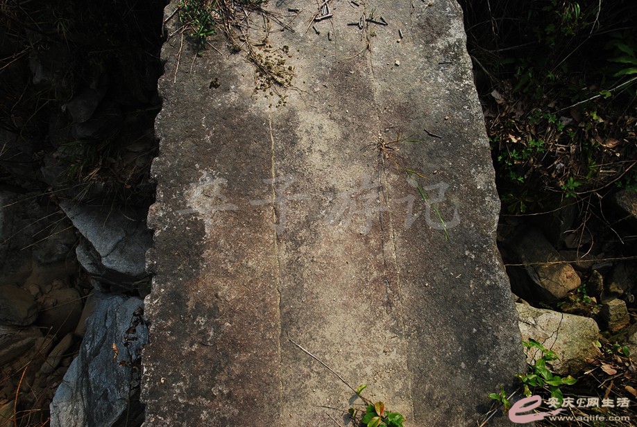 DSC_8289.jpg