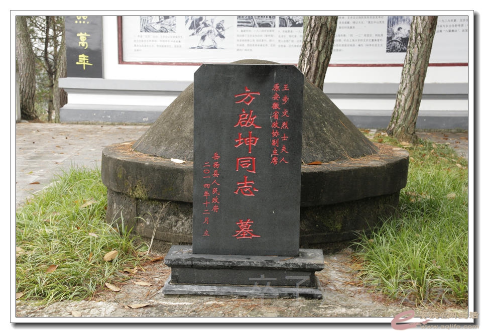 20151107 118.jpg