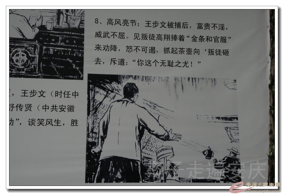 20151107 123.jpg