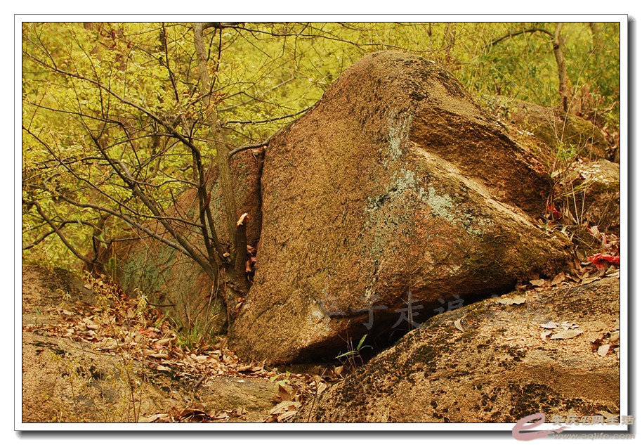 DSC_6036.jpg
