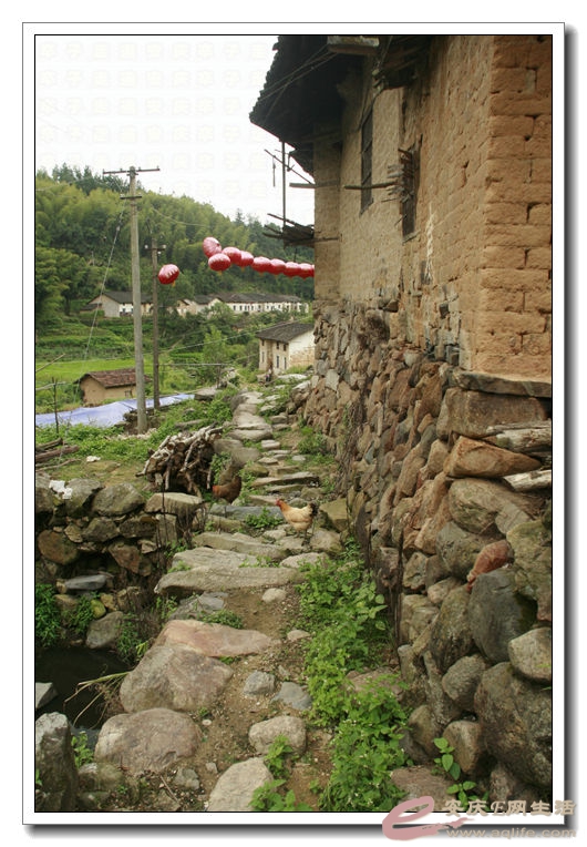 20140812 098.jpg