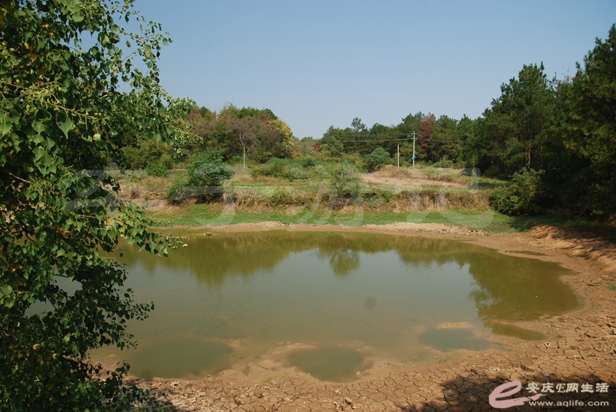 07.jpg