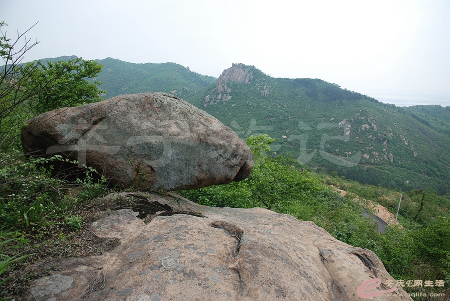 109.jpg