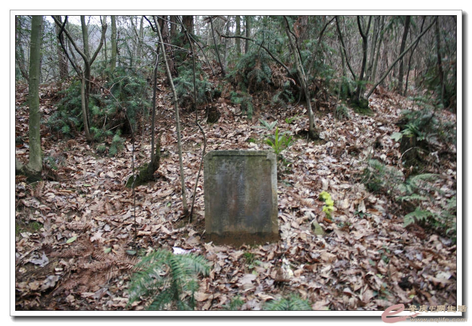 20150222 148.jpg
