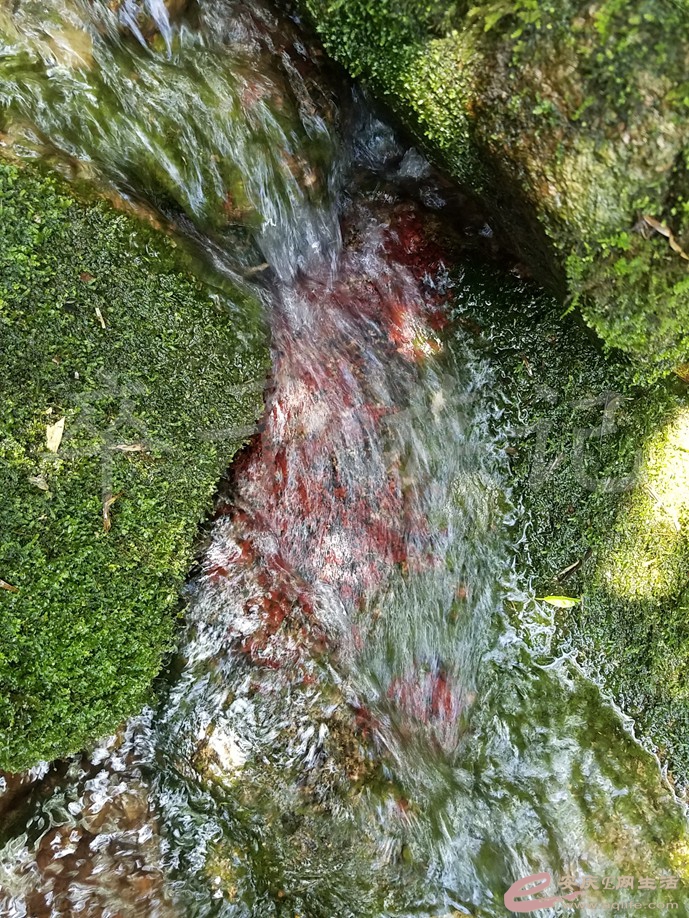 20190721 006.jpg