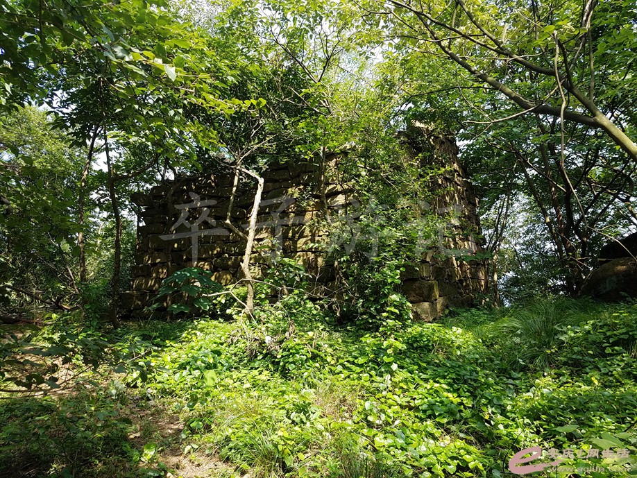 20190721 012.jpg