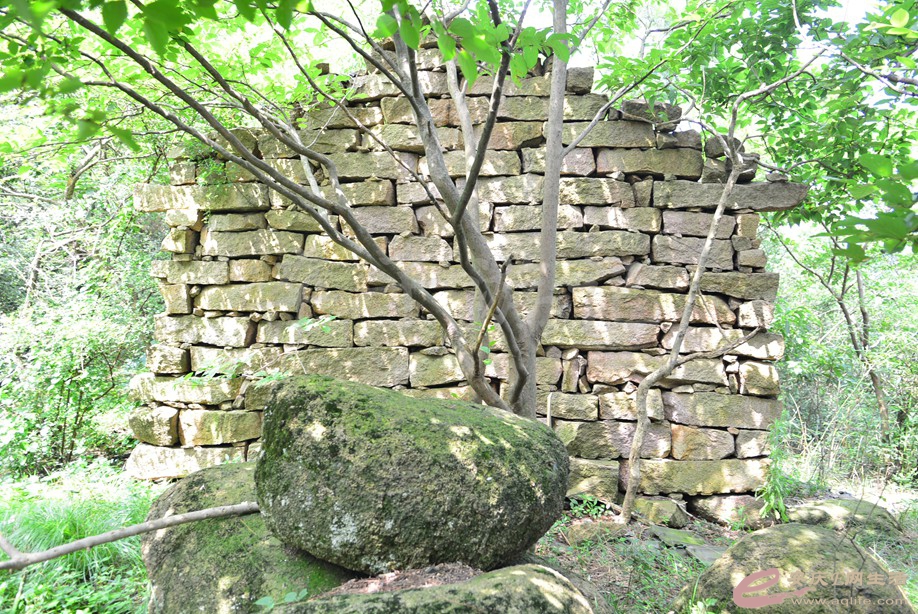 20190721 016.jpg