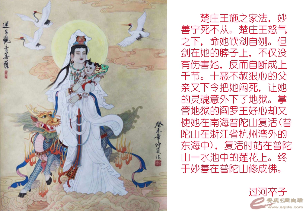 20160424 053.jpg