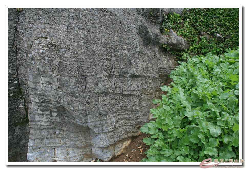 20150517 175.jpg