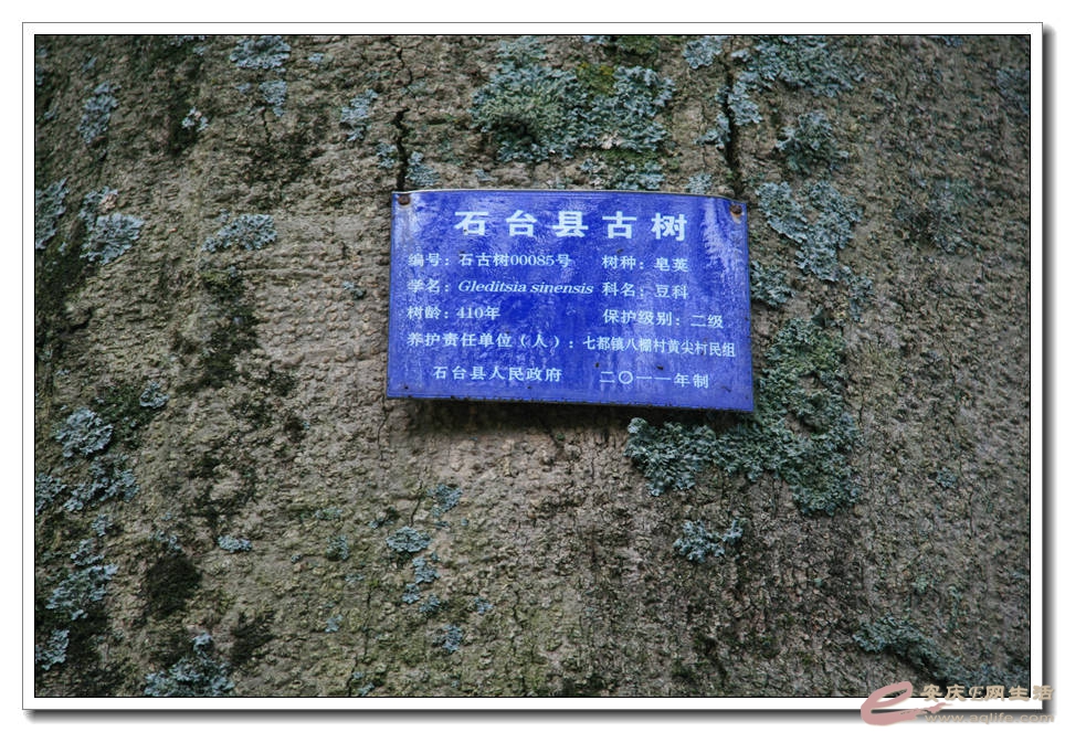20150517 181.jpg