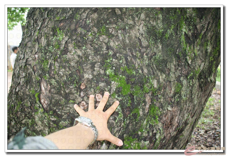 20150501 159.jpg