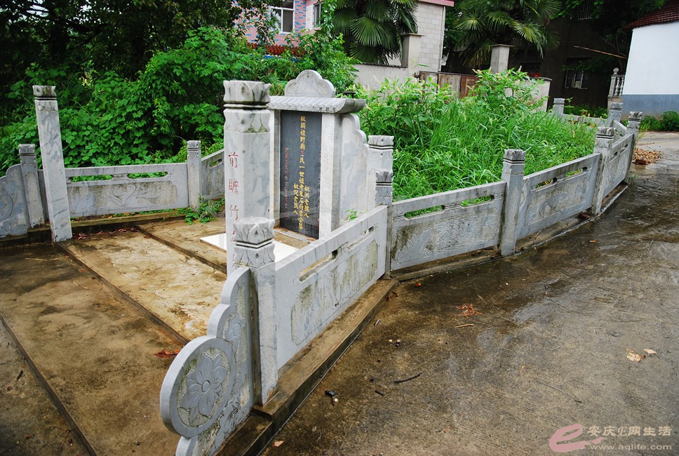 DSC_0411.jpg