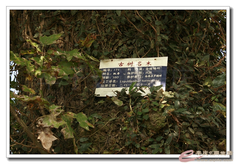 2014100106 860.jpg